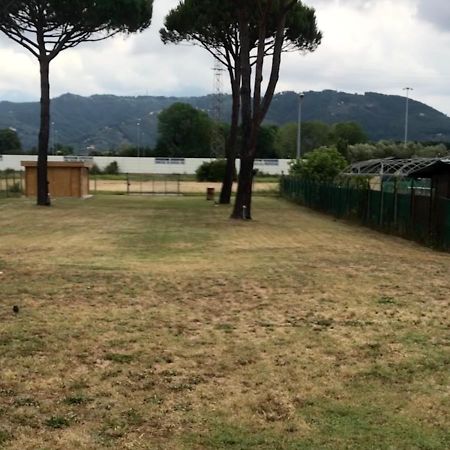L'Alloggio Del Capitano Viareggio Eksteriør billede